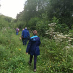 Claypits enjoyed by 25 walkers and 3 well behaved dogs on leads - 2nd August 2017.