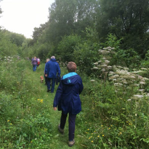 Claypits enjoyed by 25 walkers and 3 well behaved dogs on leads - 2nd August 2017.