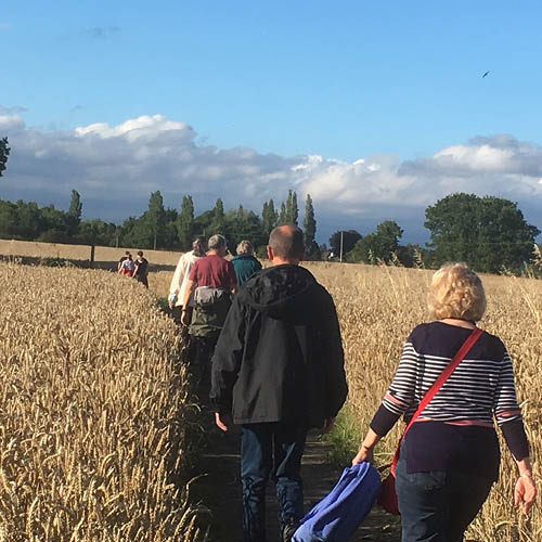 Guided walk on rural footpaths early evening - 2nd August 2017.