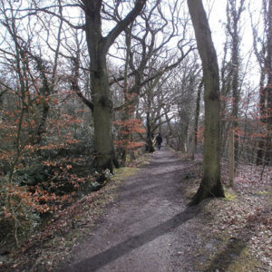 One of the many footpaths through the Rixton Claypits Nature Reserve.