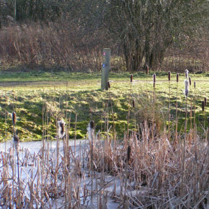 One of the many way markers that guide visitors around the ponds, pathways and meadows of the Rixton Claypits.