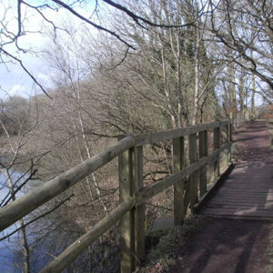 Rixton Claypits waterside footpath.