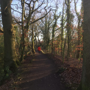 Claypits footpath on a sunny January morning - 2019.