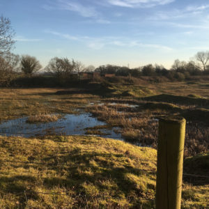 Evening sun washes over the wetlands in the Nature Reserve - February 2019.