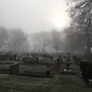 Foggy morning mist - Nov 2017.