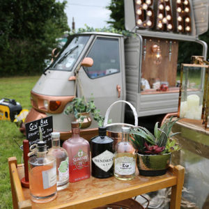 The Gin Bar ws very popular with the adults - Carnival 2017.