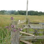 One of the stiles in the wildflower meadows.