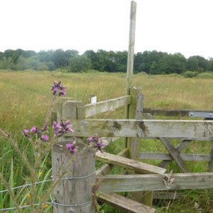 One of the stiles in the wildflower meadows.