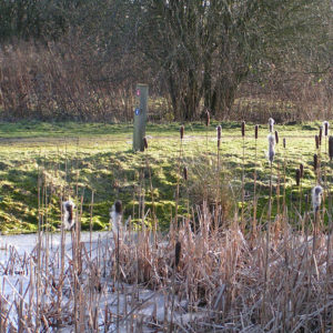 One of the waymarkers to help guide visitors around the Claypits.