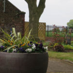 Planters provided and planted by the Friends and new borders adds an additional splash of colour.
