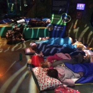 Cubs on a sleepover at Sealife.