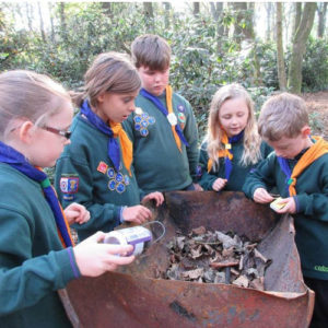 Cubs taking part in a District Survival competition, collecting and grading wood to light a fire.