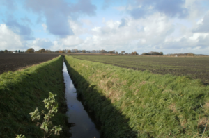Drainage ditch on Rixton Moss
