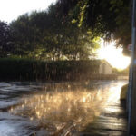 Rain dancing in a puddle outside the cemetery - gently lit by the evening sun - July 2017