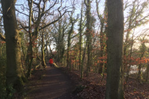 Footpath through Rixton Claypits SSSI Nature Reserve - January 2019