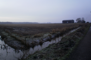 Frosty morning on Rixton Moss, Woodend Lane