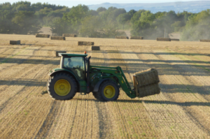 Harvesting the crops in Hollins Green - August 2016