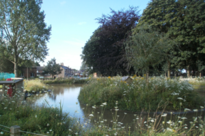 The Village Pond, in the heart of Hollins Green, attracts ducks as well as many visitors