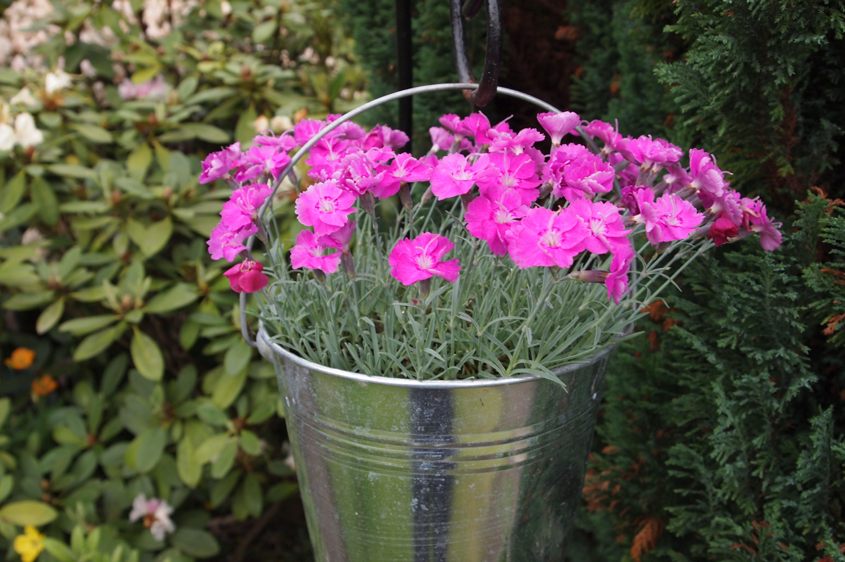 Blooming Marvellous Gardening Scheme