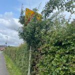 Road sign hidden by overgrown foliage - June 2025